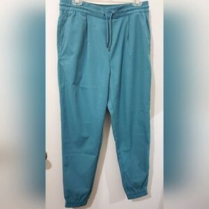 NWT North Face womens standard fit joggers goblin blue size M brand NEW with tag